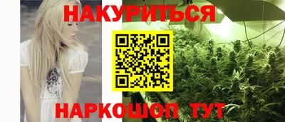 гашик Пыть-Ях
