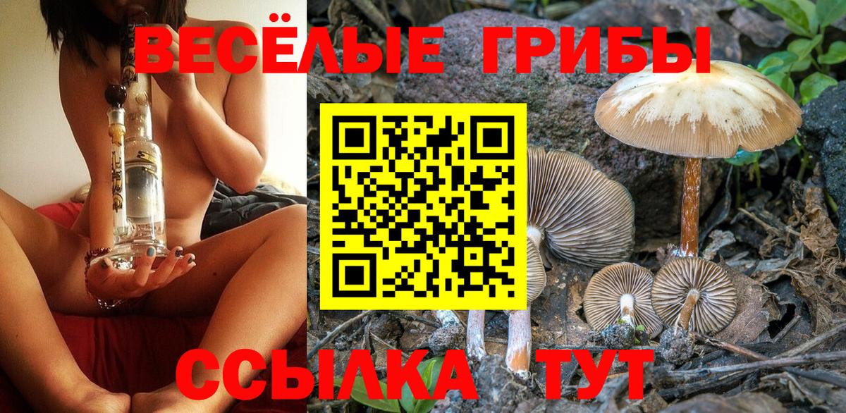 Галлюциногенные грибы прущие грибы  Вход с VPN  Алексеевка 