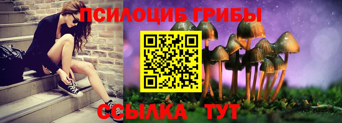 Псилоцибиновые грибы Psilocybine cubensis Алексеевка